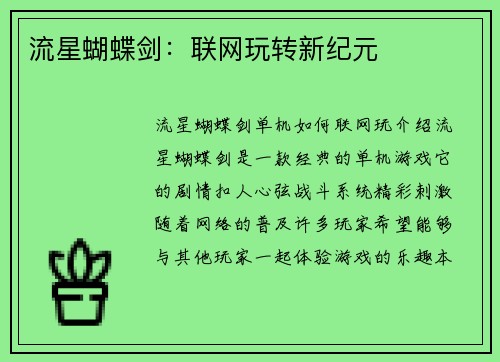 流星蝴蝶剑：联网玩转新纪元